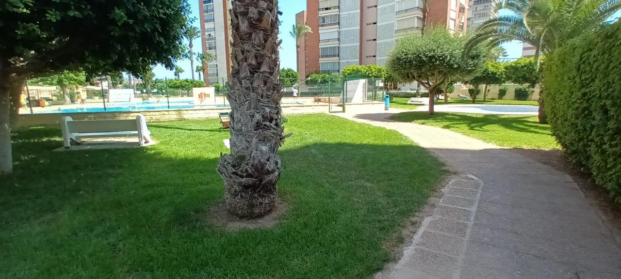 Apartamento Con Vistas Al Mar Poniente Avda Uruguay * Benidorm