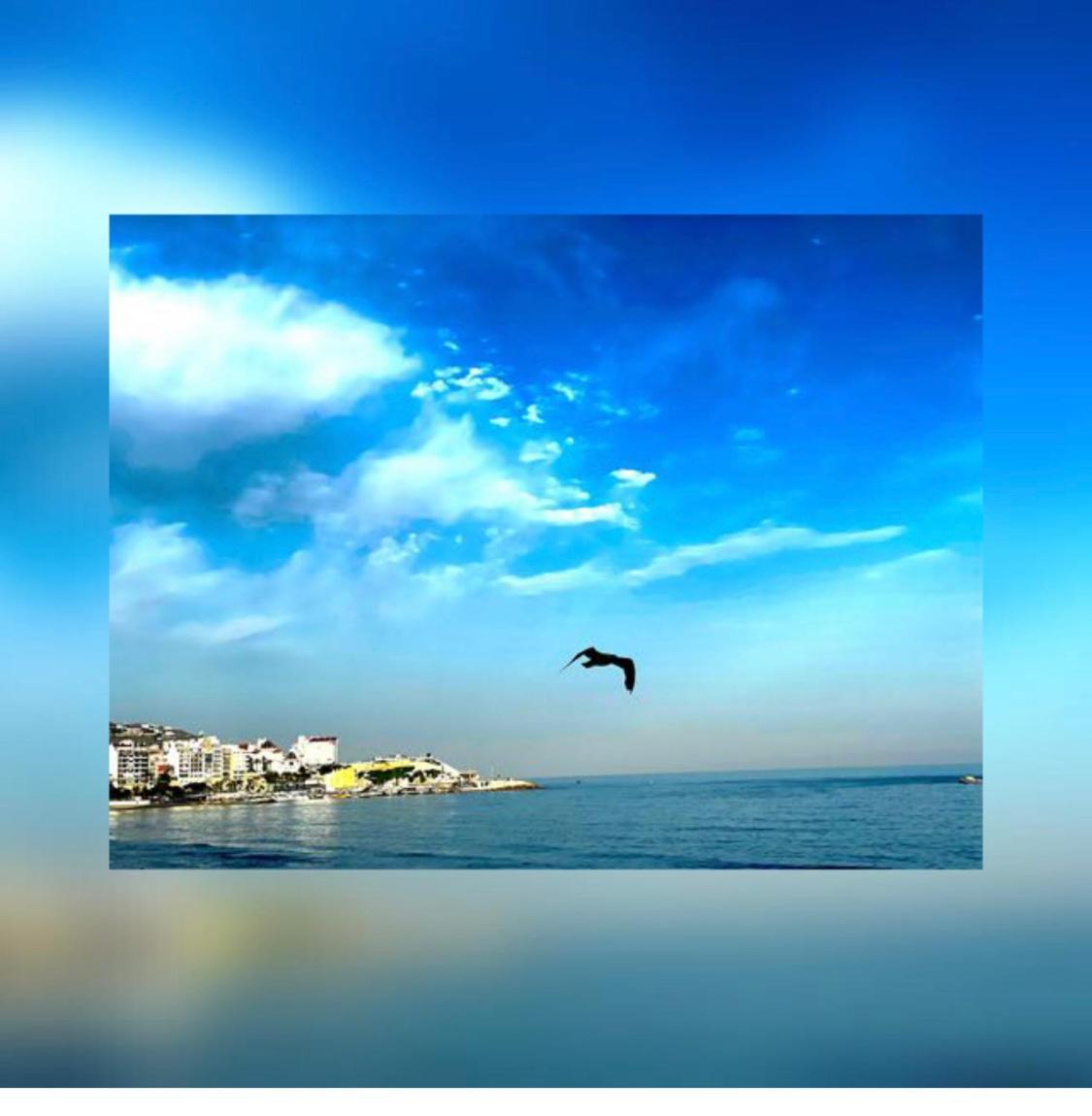 Apartment Frente Al Mar *