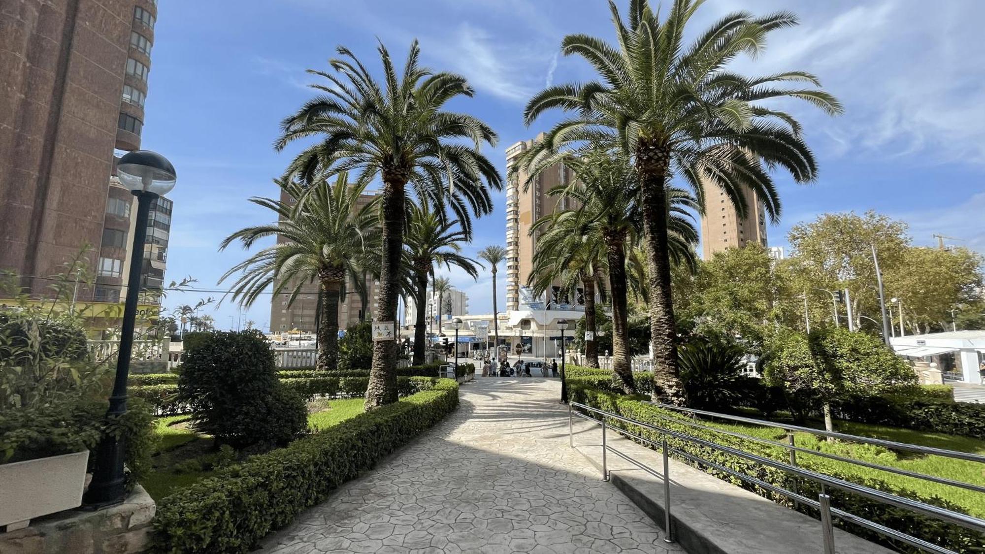 Beachfront Benidorm