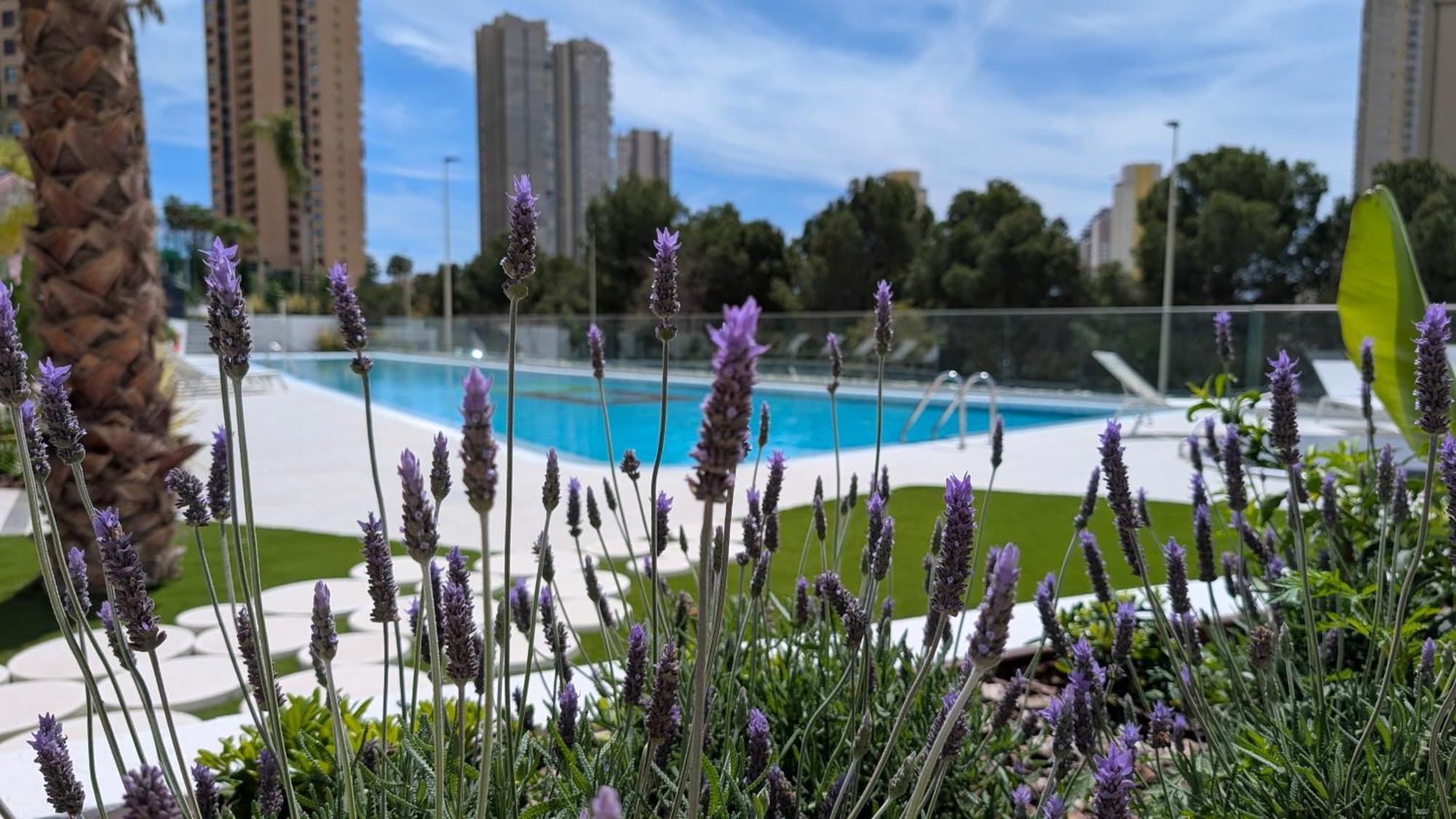 Eagle Tower Sweet Apartment Benidorm