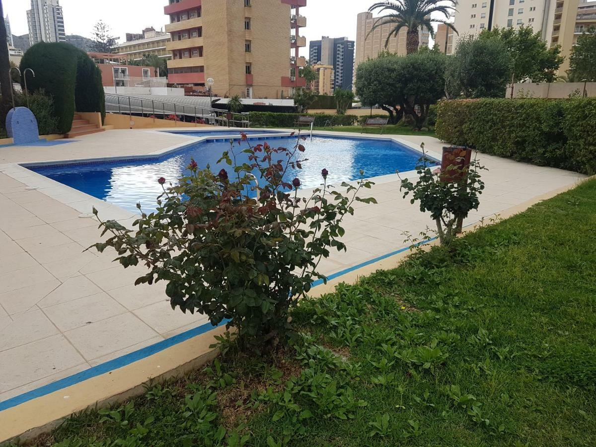 Apartamento Alteanos V - Benidormland