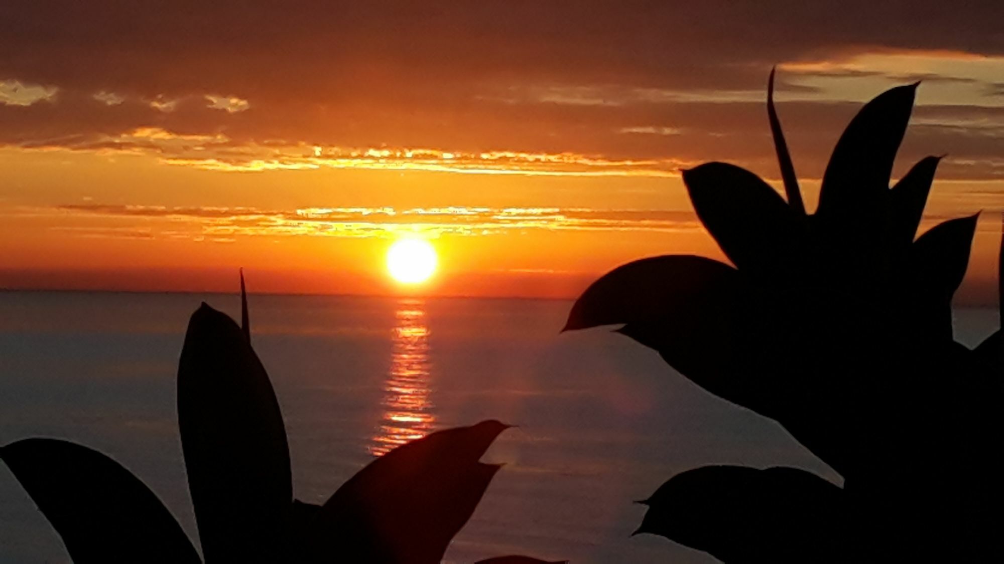 Сasa de vacaciones Sea Dreams House Benidorm