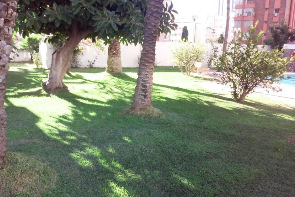 Alteanos, Centrico Y Confortable, Soleado, Con Piscina Y Jardines, Tenis, Parking Exterior Comunitario, Y La Playa Andando 10 Min *