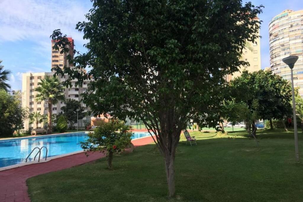 Alteanos, Centrico Y Confortable, Soleado, Con Piscina Y Jardines, Tenis, Parking Exterior Comunitario, Y La Playa Andando 10 Min Apartment *