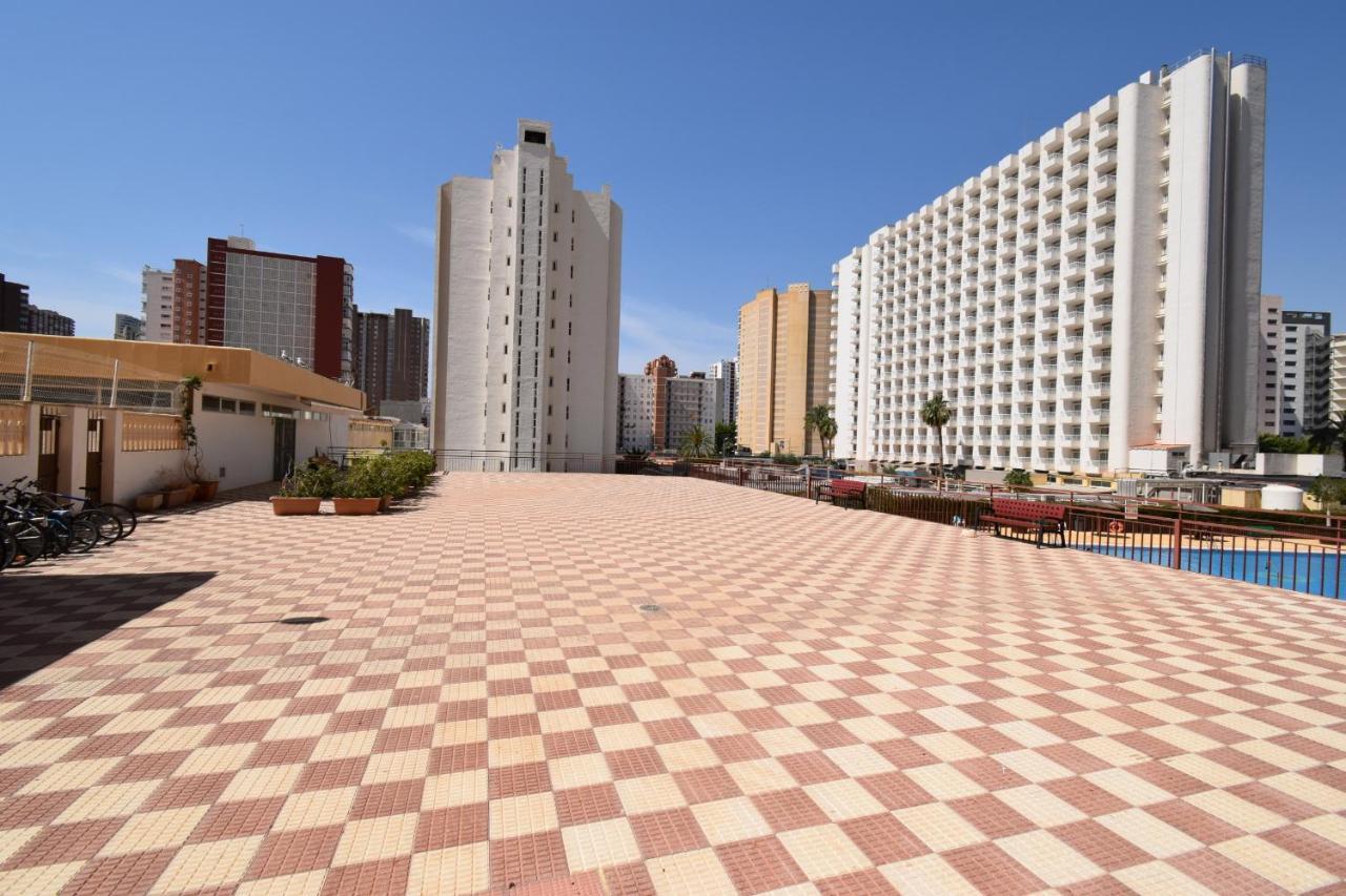Acuarium 3 - Arena Benidorm