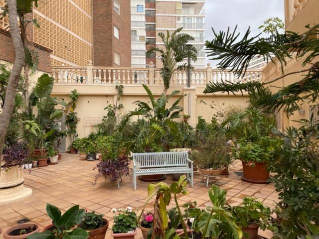 Precioso A Estrenar En Primera Linea De Playa * Benidorm