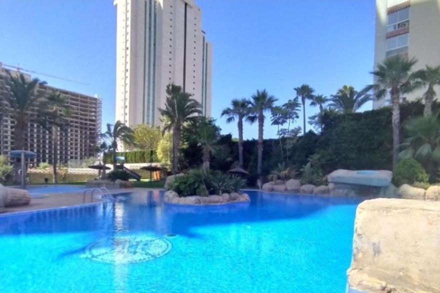 Playa. Atrium Apartment