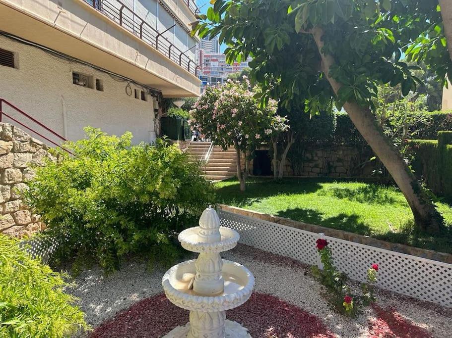 Sea View Apartments, Appartement *