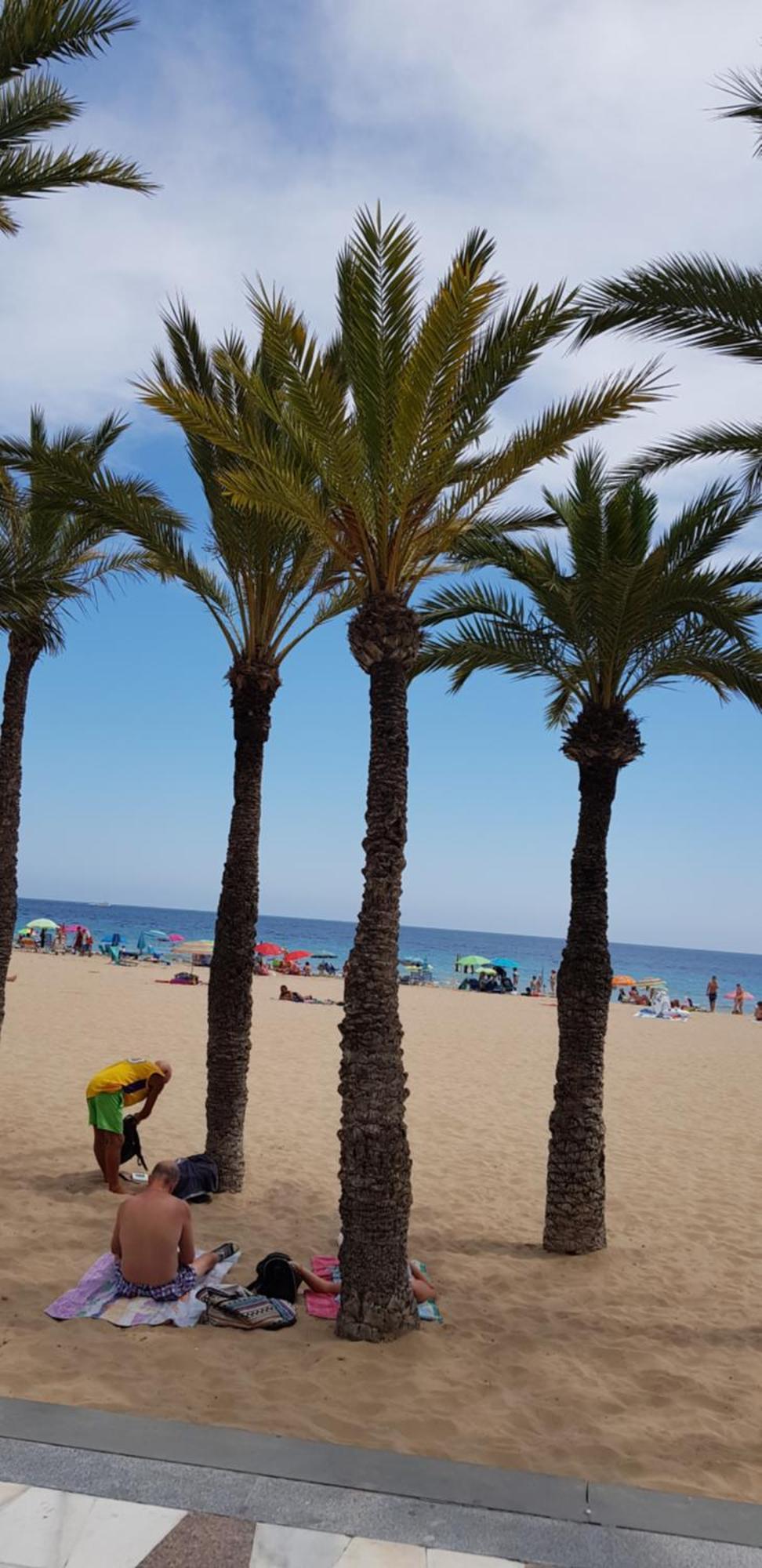 Appartement Beach *