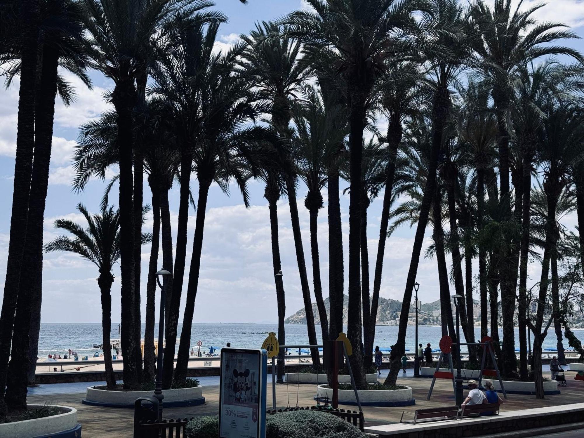 Secretos Del Mediterraneo Con Parking Gratuito! Benidorm
