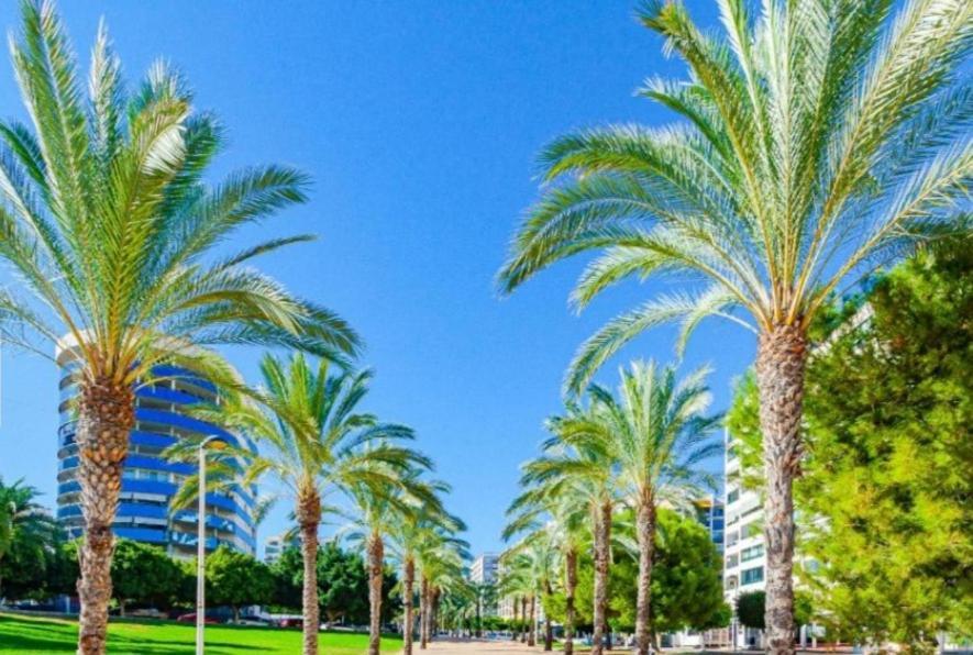 Playa. Atrium