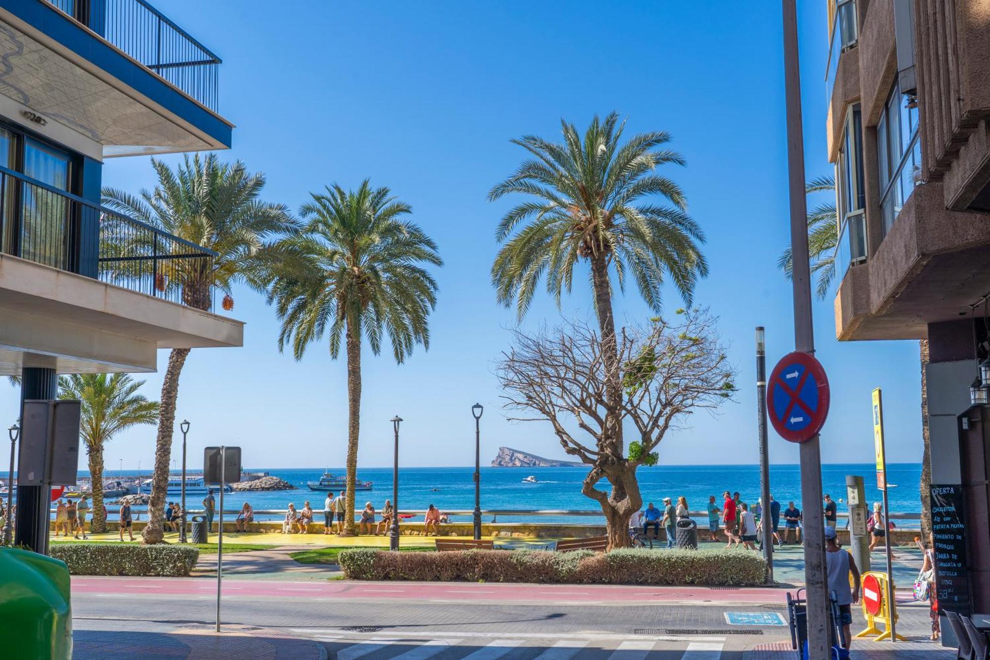 Rinconcito Premium Apartment *