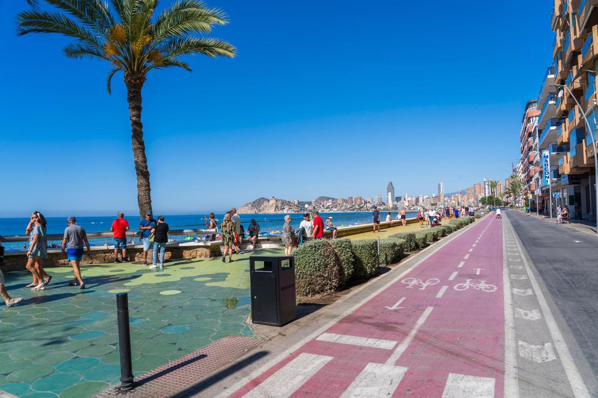 Rinconcito Premium Apartment
