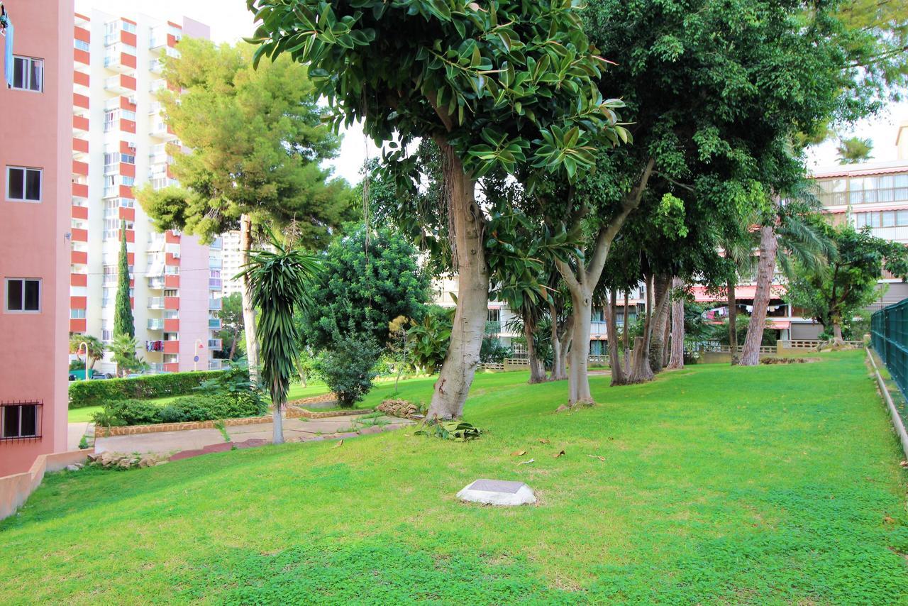 Europa Garden 19-a1 Apartment