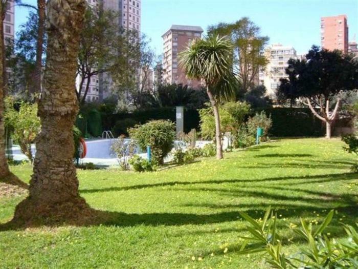Alhambra - Arena * Benidorm