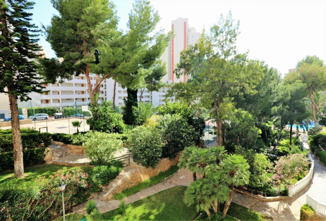 Playmon Park C39 * Benidorm