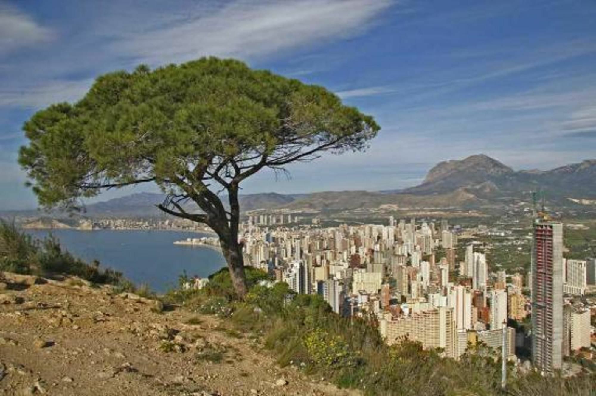 In Benidorm, Alicante 103103 By Mo Benidorm