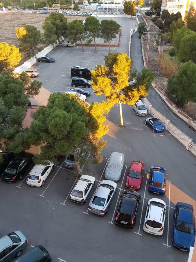 Provima B * Benidorm
