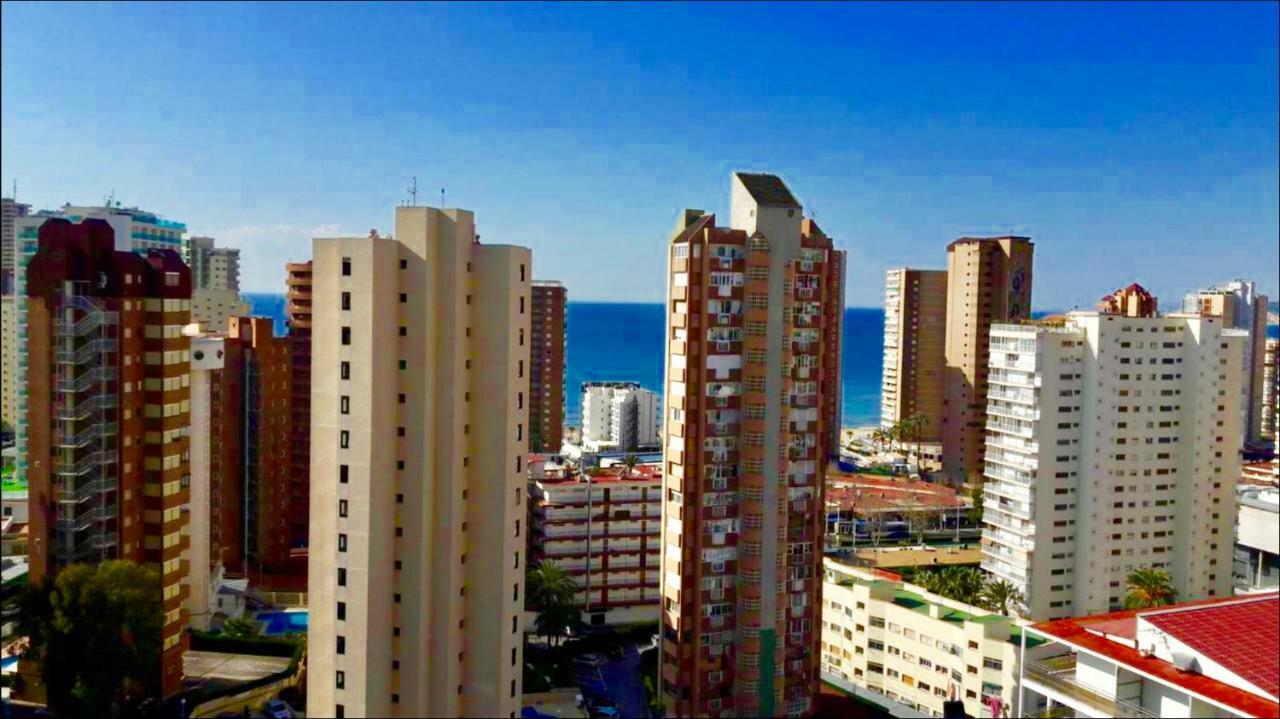 Piscis Of The Sea * Benidorm