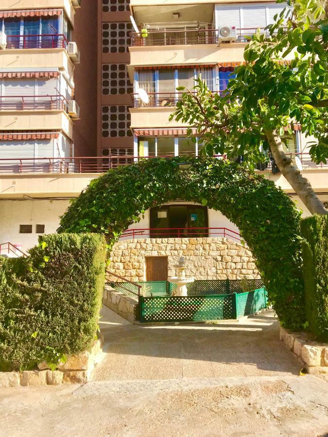 Piscis Of The Sea Benidorm