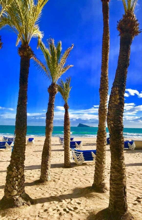 Apartment Piscis Of The Sea Benidorm