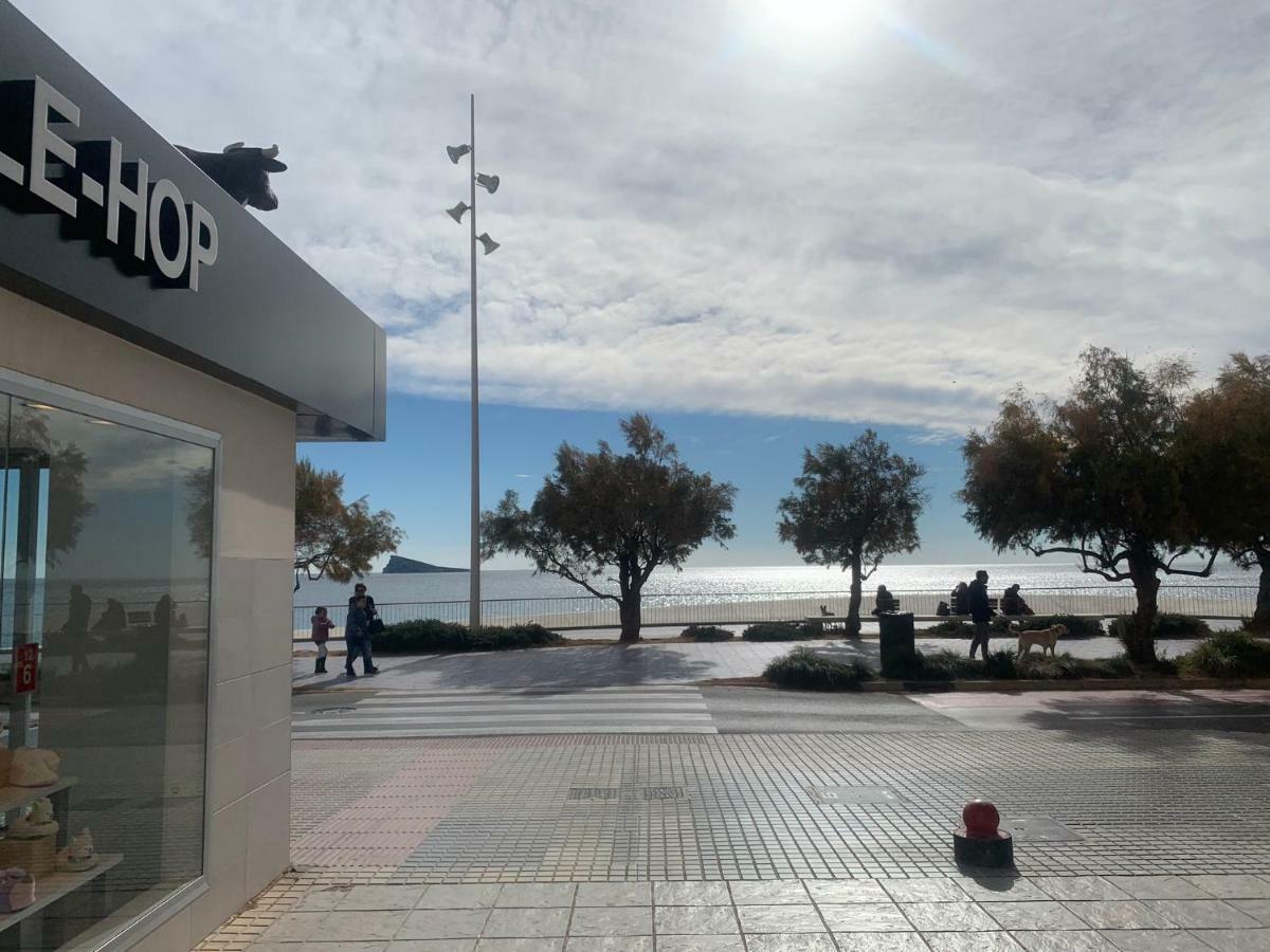 Provima B * Benidorm