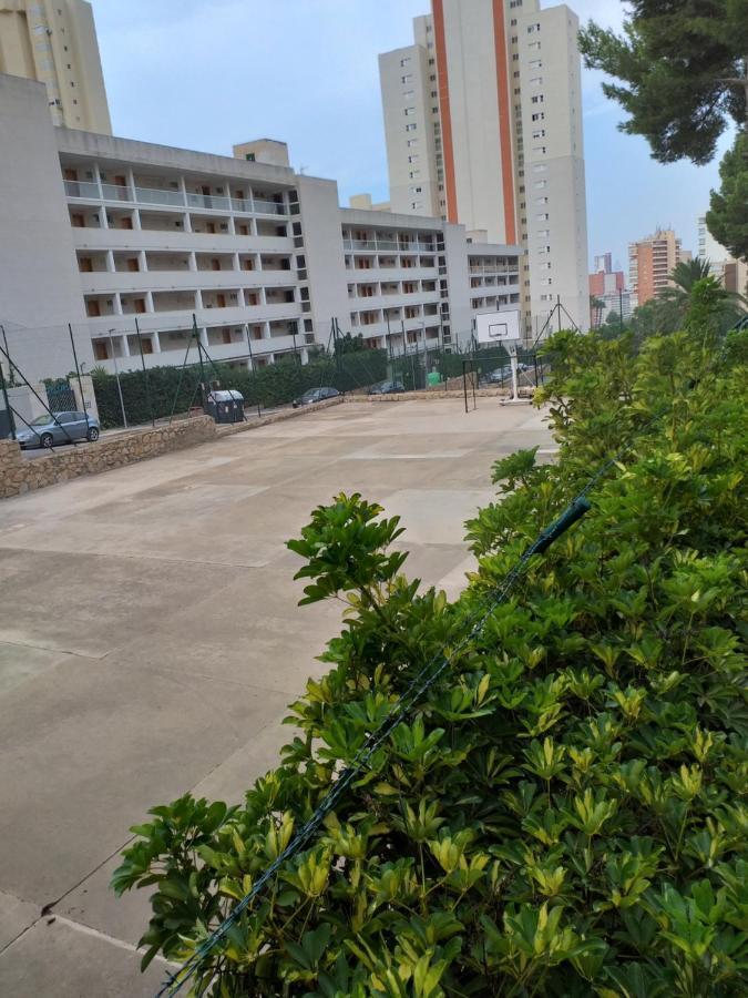 With Panoramik City, Sea And Park