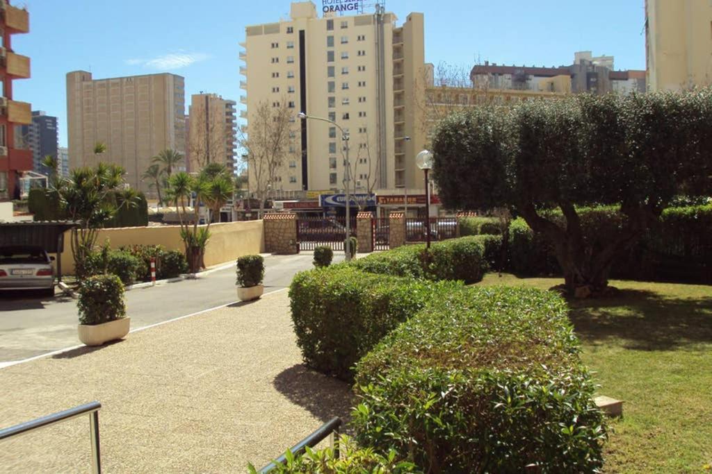 Edificio Alteanos V Apartment Benidorm