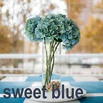 My Sweet Blue Apartment