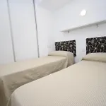 Caballos 2D - Estudio - Fincas Arena
