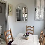Violetas Home