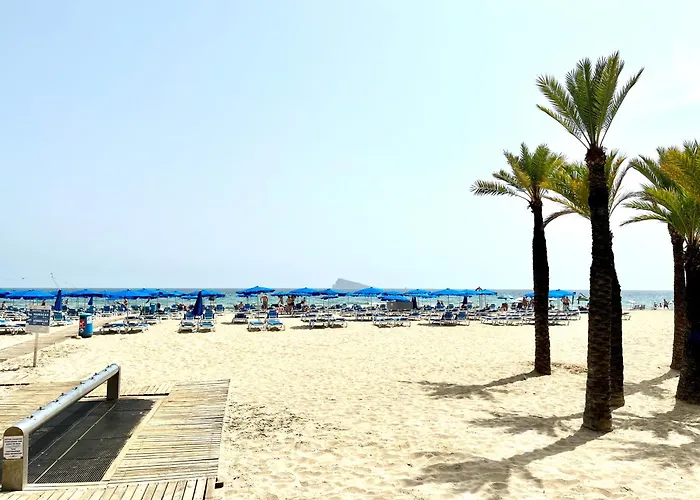Ducado 13 Playa Benidorm
