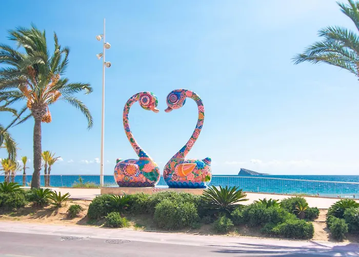Olivar Benidorm Playa
