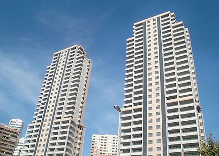Torres Doboe Blueline
