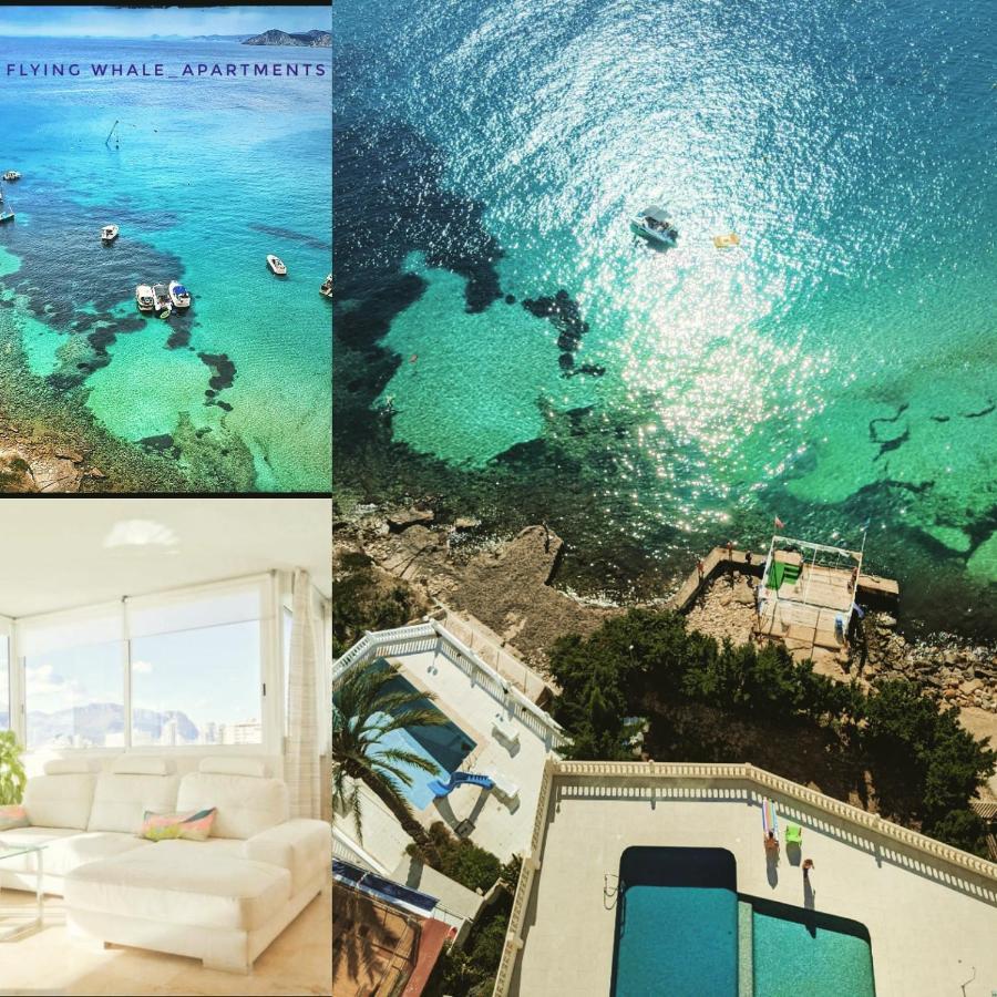 Apartamento Portofino Flying Whale Benidorm
