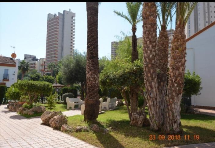 Sunshine Apartament