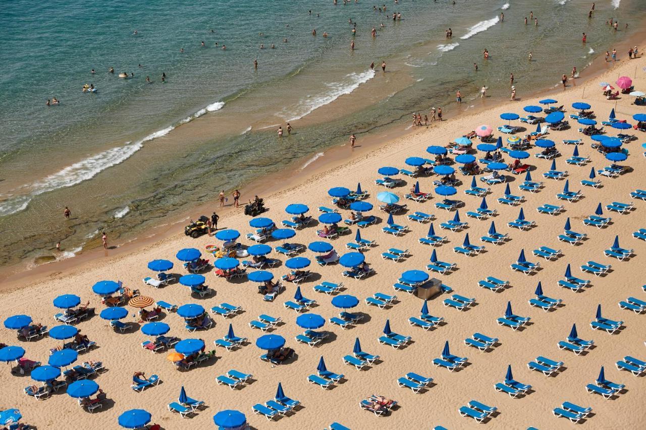 Las Palmeras 15a Benidorm
