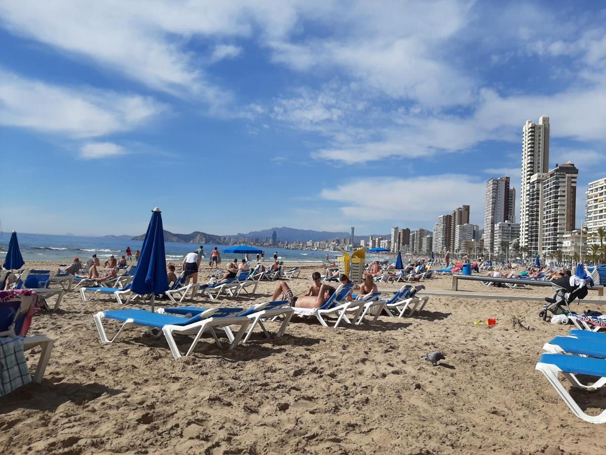 Apartamento Moby Dick 1c Benidorm