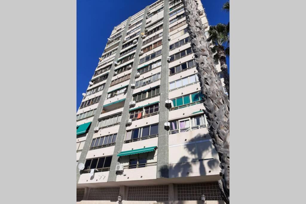 Mariscal 6 Appartement *