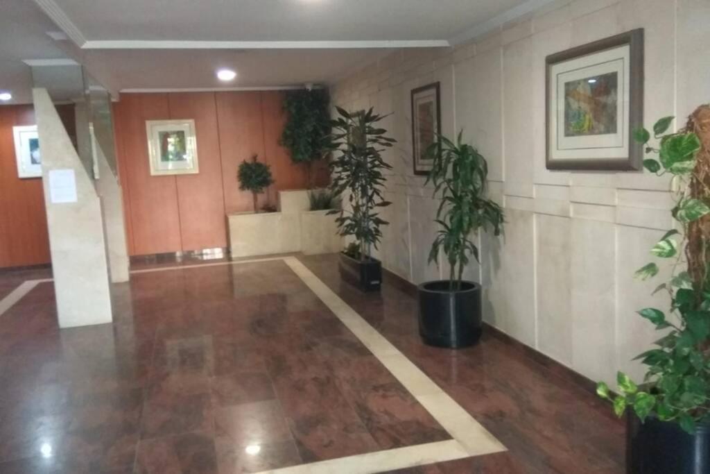 El Rincon Playero De Maria I Primera Linea De Playa Reformado Marzo 2025