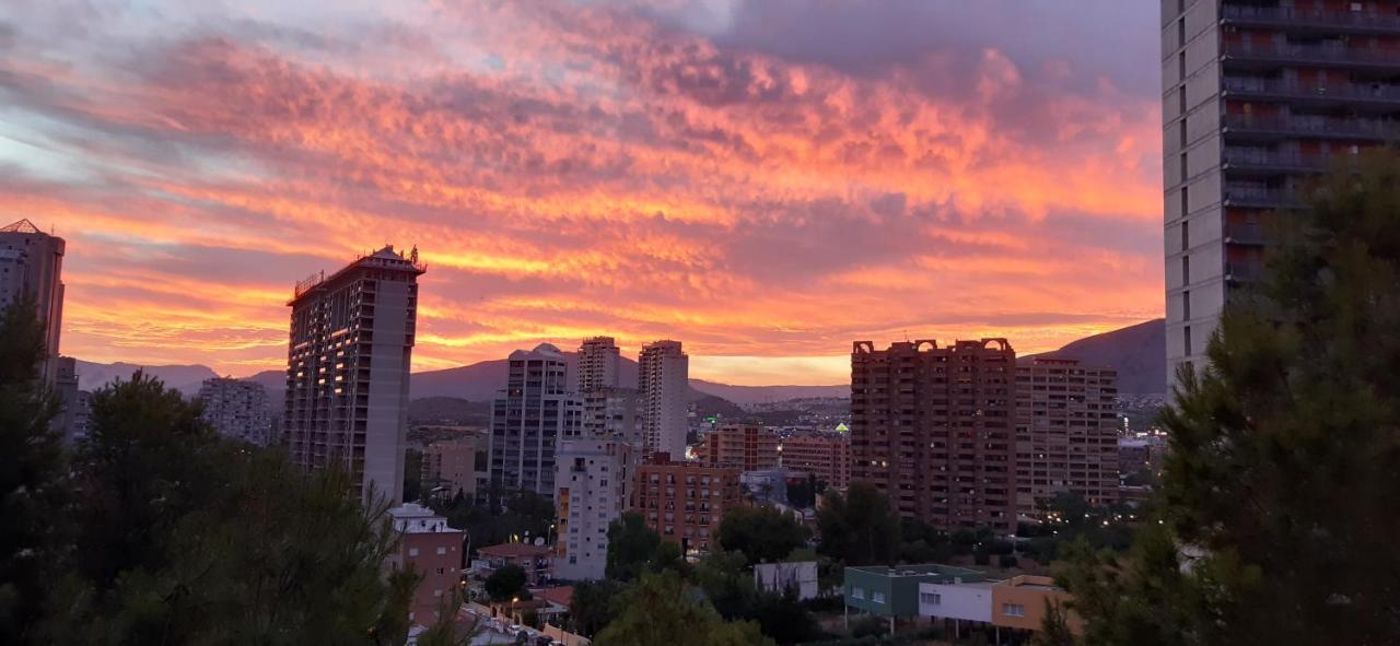 Puesta De Sol Rosa Gasthuis