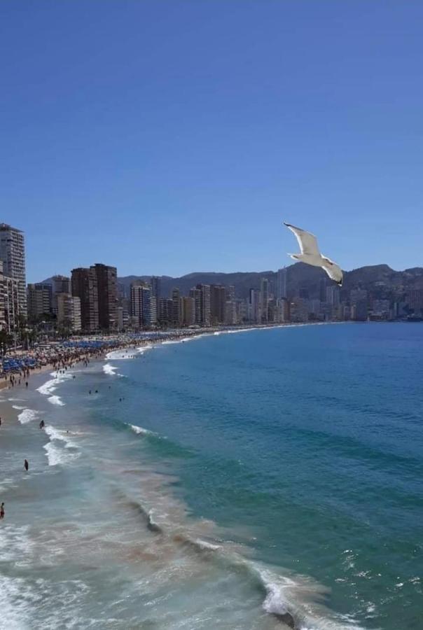 San Remo Levante Appartement Benidorm