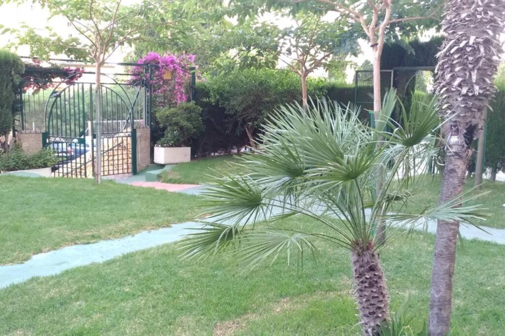 Moderno Appartement *