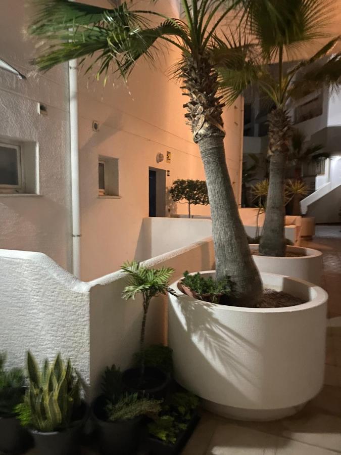 Apartment Belle Vue 1ere Lignee Marina