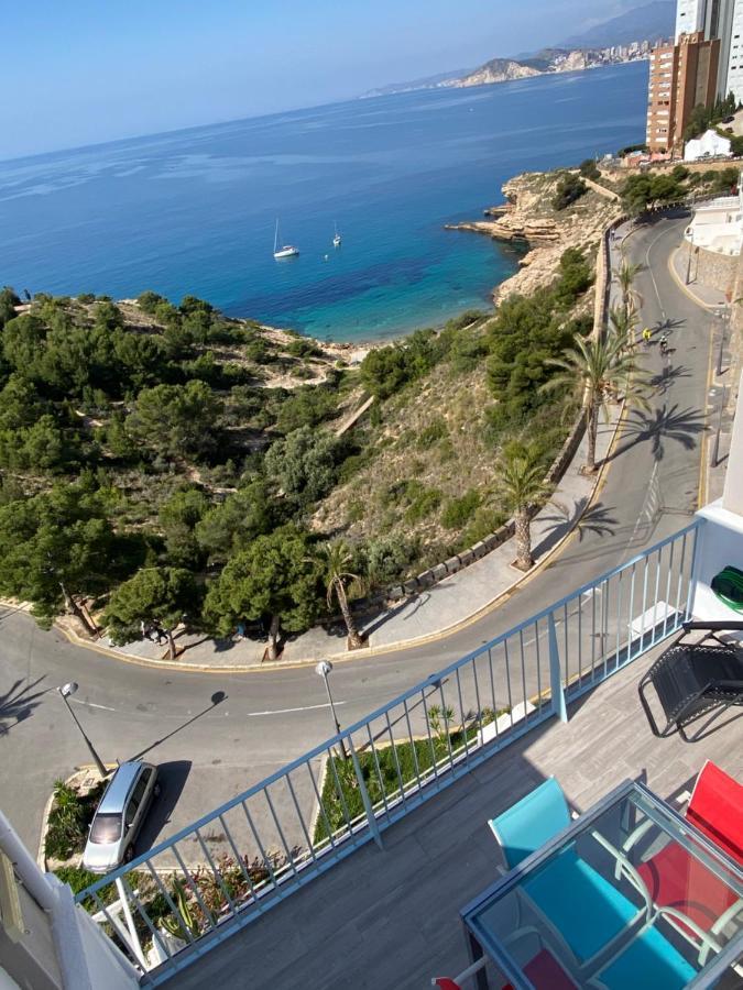 Belle Vue 1ere Lignee Marina *
