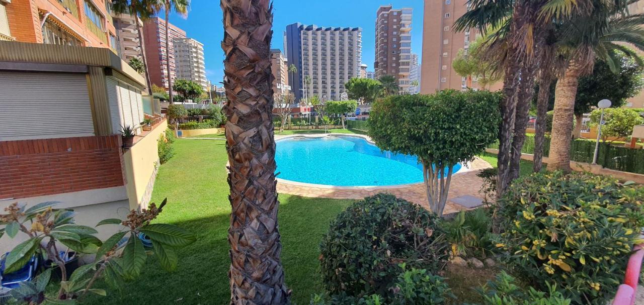 Adelfas - Arena Benidorm