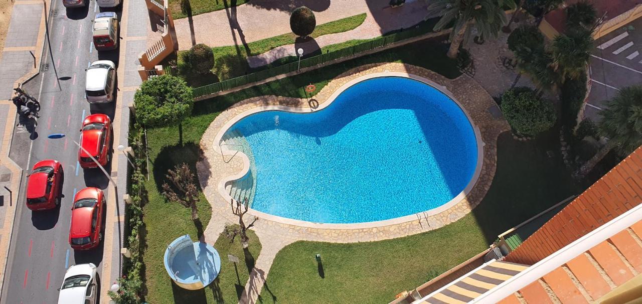Adelfas - Arena * Benidorm