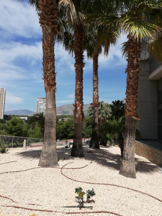 Apartamento Torre Pinar I