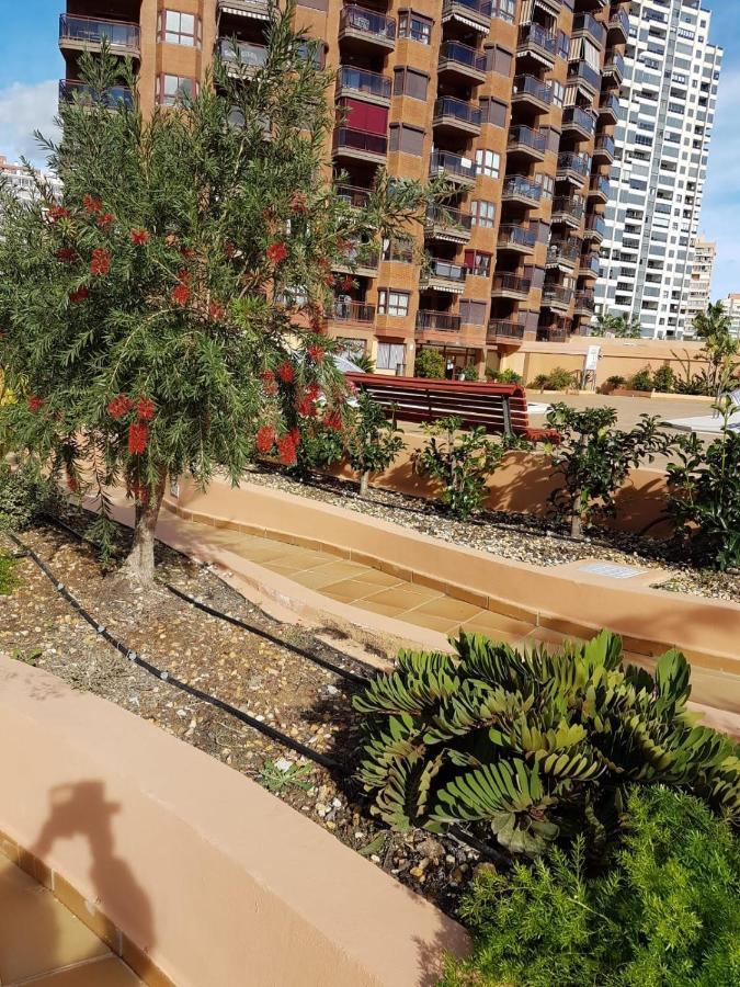 Apartment Fabuloso Apartamento En Benidorm