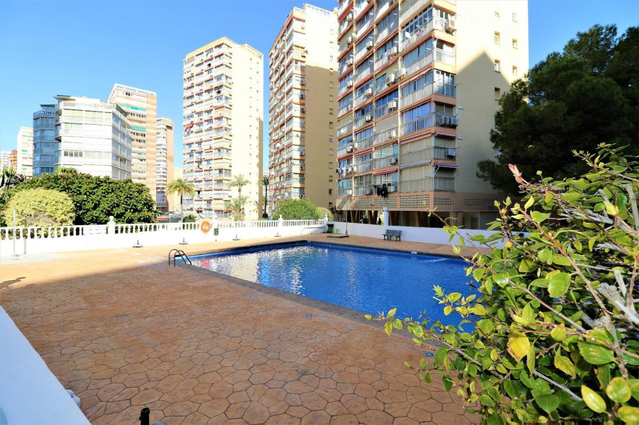 Don Miguel 2-a Levante